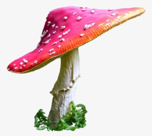 Alice In Wonderland Mushroom Png Clip Art Royalty Free - Alice In Wonderland Mushroom #151703