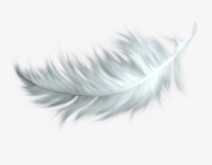 Nature - Feathers - Feather Png #151822