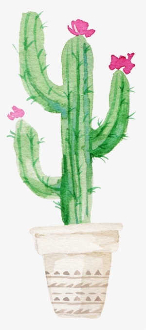 Succulent Plant Watercolor Painting - Watercolor Cactus #151894