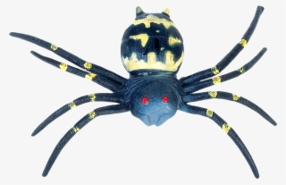 Free Png Spider Png Images Transparent - Southern Black Widow #152828
