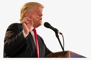 Has Donald Trump Poisoned The Playground Educators - San Jose #153273