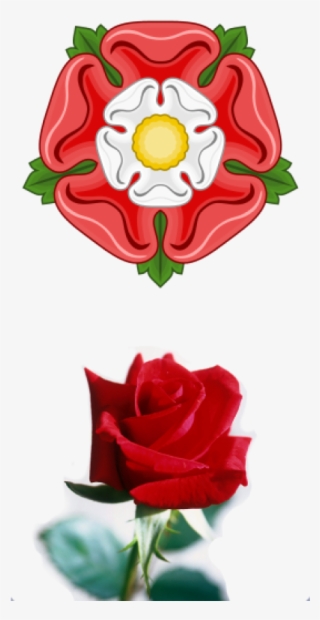 Tudor And Red Roses - English Rose #154093