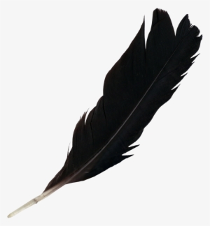 Black Feather Png #154156
