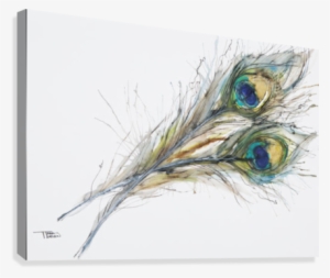 Watercolor Painting Of Two Peacock Feathers - Watercolor Painting Of Two Peacock Feathers Canvas #154230 Watercolor Painting Of Two Peacock Feathers - Watercolor Painting Of Two Peacock Feathers Canvas #154230
