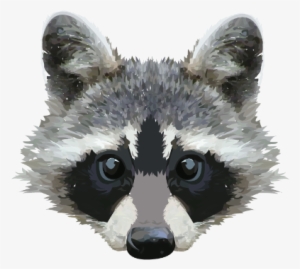Raccoon Face Png #154253