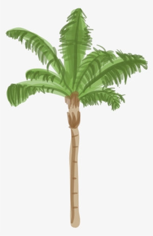 Canary Island Date Palm - Palm Tree Base Png #154360