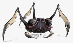 Spider - Wikia #155248