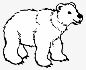Clipart Animations White - Polar Bear Clipart Png #155268