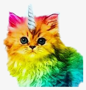 Unicorn Rainbow Cat #155466