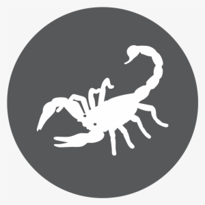 The Scorpion Brave And - Scorpio #156326 The Scorpion Brave And - Scorpio #156326