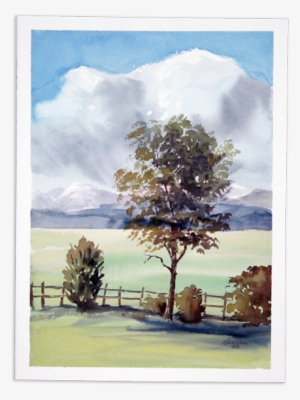 146 - Untitled, Ca - California #156994