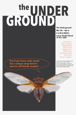 This Project Includes - Butterfly #157056