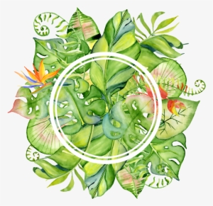 Hand Painted Bright Green Leaves Wall Png Transparent - Flamingo Tropical Drawing #157095