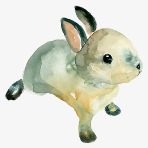 Watercolor Bunny - Easy Simple Watercolor Animals #157222