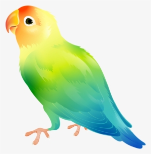 Banner Freeuse Library Parrot Png Clip Art Image Gallery - Clip Art Parakeet #157267