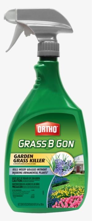 Help Center - Ortho Nutsedge Killer For Lawns #157362
