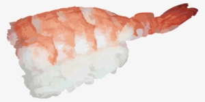 Japanese Sushi Asian Shrimp Raw Fish Food - Png Nigiri Sushi #157620