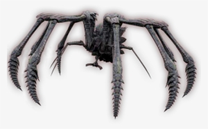 Armor Spider - Souls #157638