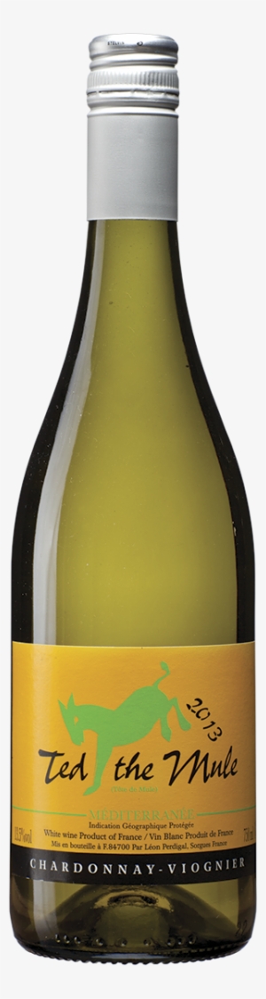 Ted-mule Branco2013 #157679