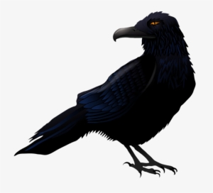 Halloween Crow Png High-quality Image - Raven Clipart Png #158456