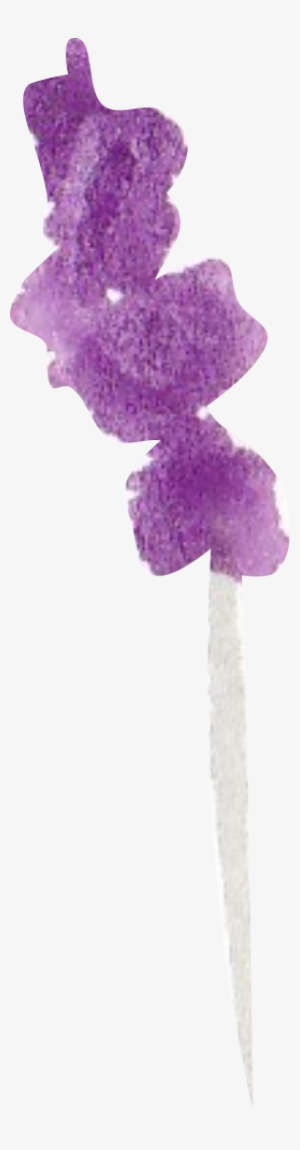 Purple Lavender In Watercolor Large - Watercolor Painting #158524