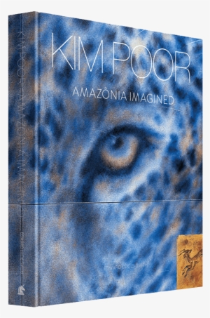 “it Is An Artist's Duty To See Beyond Their Eyes” - Amazonia Imagined By Edward Lucie-smith #158756