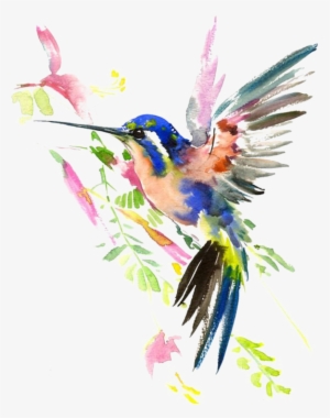 Ftestickers Watercolor Nature Hummingbird - Watercolour Birds #158848