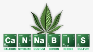 Picture - Cannabis Plant Anatomy Family #158943