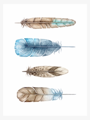Blue Brown Watercolor Feather Print #159047