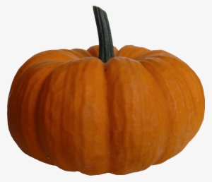 Autumn Pumpkin Transparent Png - Pumpkin Png File #159074