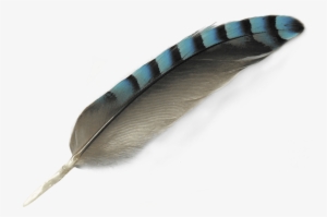 Free Png Feather Png Images Transparent - Feather Png #159194