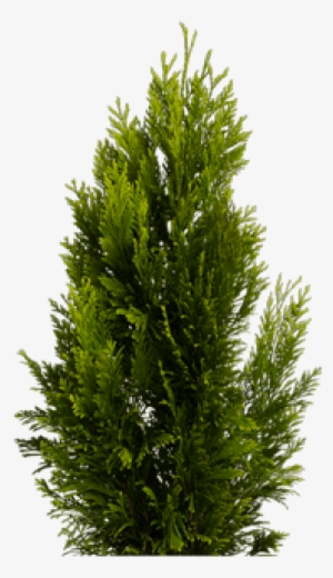 Get Inspired - Egg #159195