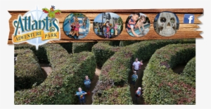 Maze Clipart Hedge - Golf #1501415