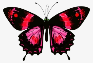 Luna Moth Clipart Transparent - Schmetterling Auf Transparent Hintergrund #1502645