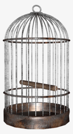 Free Png Bird Cage Png Images Transparent - Bird Cage Png #1502647