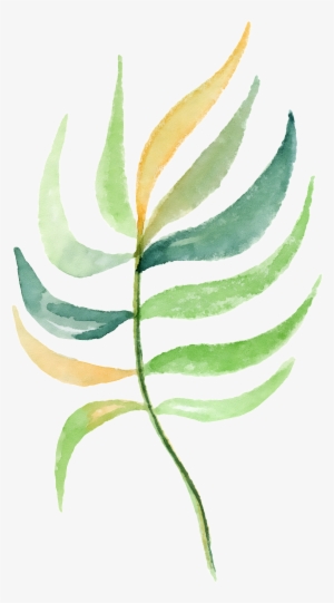 This Graphics Is Hand Painted Five Colors Of Leaves - Portable Network Graphics #1502700