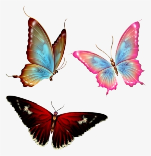 Render Papillons By Scorpionninja Art Nature - Transparent Background Butterfly Png #1502718