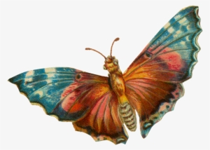 A Terrific Moth For Your Halloween Projects - Vintage Moth Png #1502817
