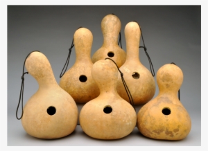 Box Of 6 Birdhouse Gourds, Pre Cut And Craft Ready - Bird House Gourds #1503152