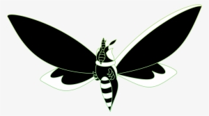 Green Powder Moth - Net-winged Insects #1503170