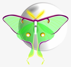 Png Royalty Free Download - Clip Art #1503173 Png Royalty Free Download - Clip Art #1503173
