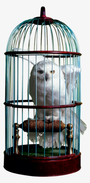 Hedwig Drawing Cage - Harry Potter Hedwig Cage #1503220