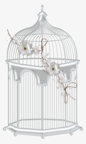 Bird Cage Transparent White #1503511