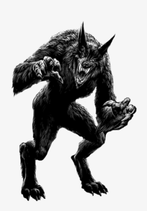 Werewolf Png - Lycanthrope #1503589