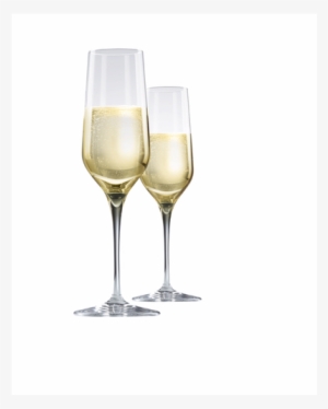 Champagne Glasses - Champagne Stemware #1503773