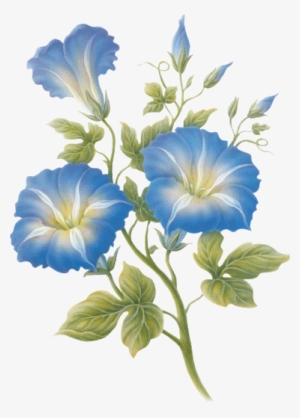 Pin By Kandrács Róza On Élet A Virágok - Mensagem Vivendo E Aprendendo #1504428