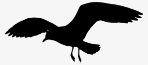 Seagull Silhouette Png #1505383 Seagull Silhouette Png #1505383