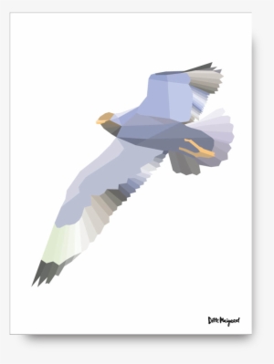 Sir Seagull Poster - Ditte Maigaard Studio #1505675 Sir Seagull Poster - Ditte Maigaard Studio #1505675