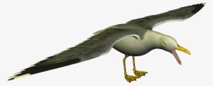 Seagull Clipart - Seagull Funny Png #1505753 Seagull Clipart - Seagull Funny Png #1505753