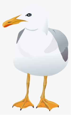 View Full Size - Portable Network Graphics #1505778